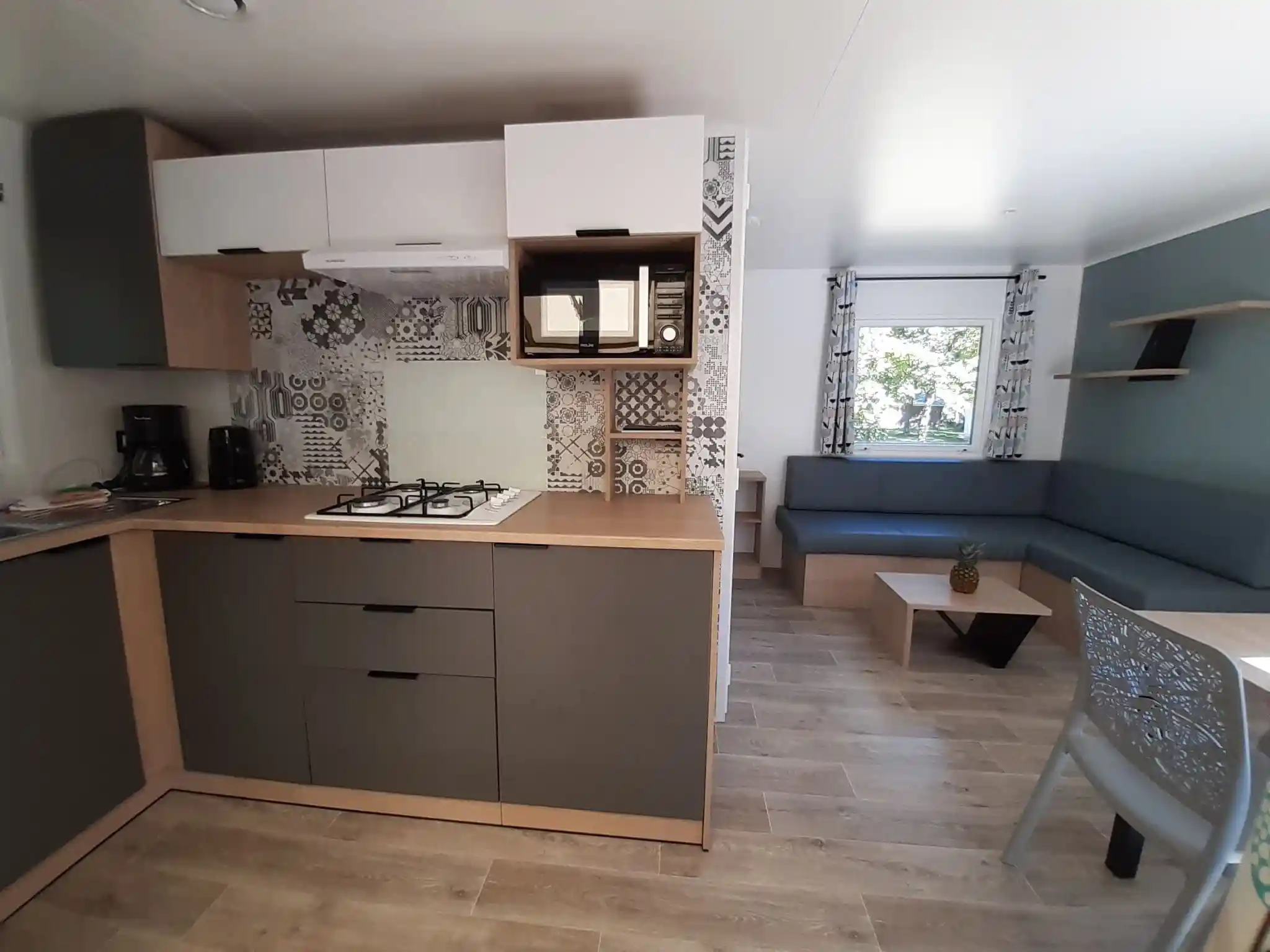 118910054_793750554798179_4964660983181005574_n