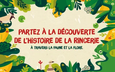 Partez à la découverte de La Rincerie